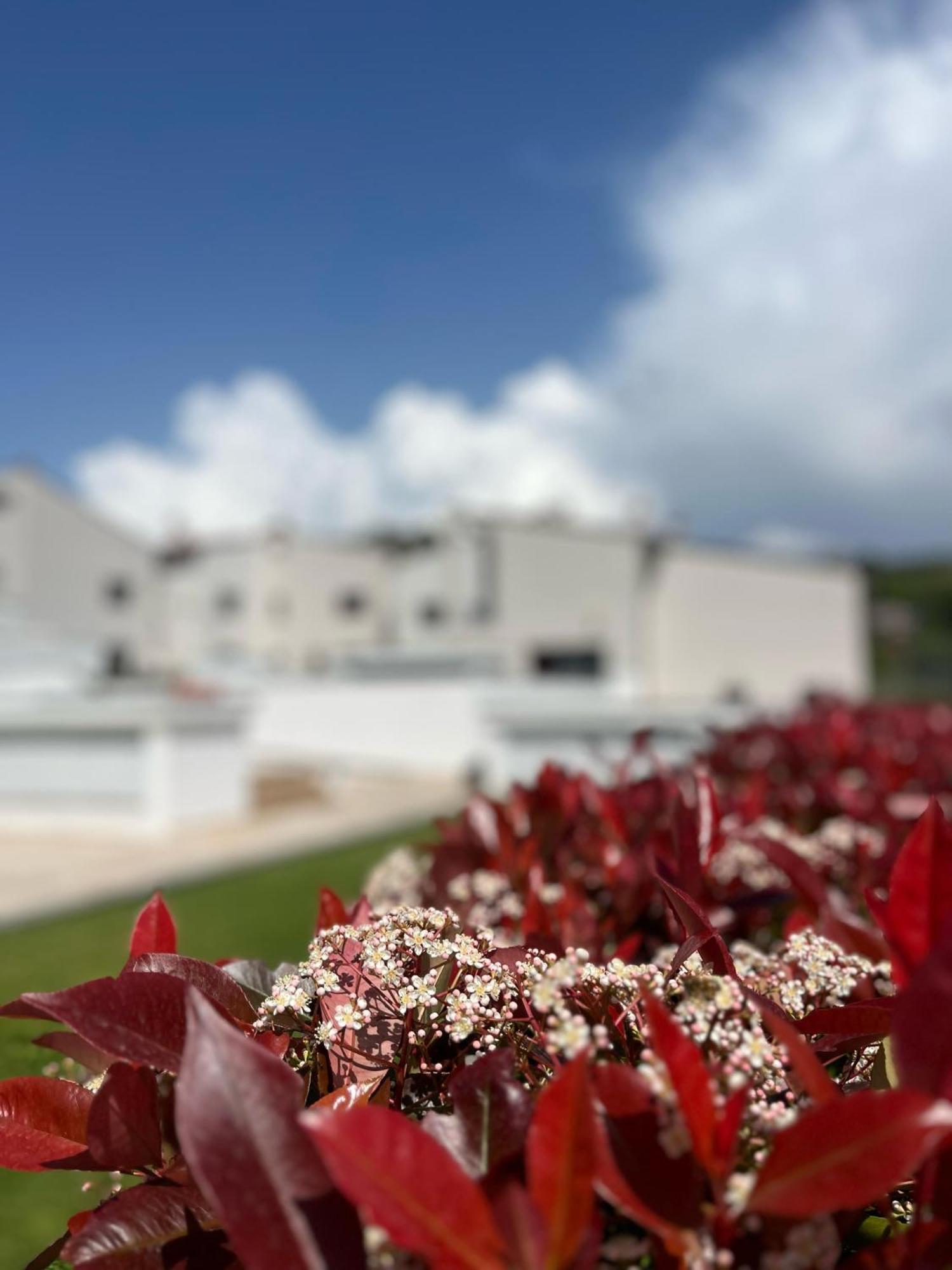 The Florence Hills & Wellness Resort